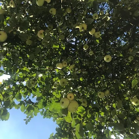 Piekne Poddasze - 2 Sypialnie Z Salonem, Lazienka I Balkonem Çiftlik konaklama *